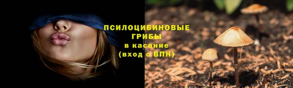 прущая мука Арсеньев