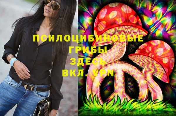 прущая мука Арсеньев
