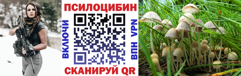 Псилоцибиновые грибы Cubensis  Искитим 